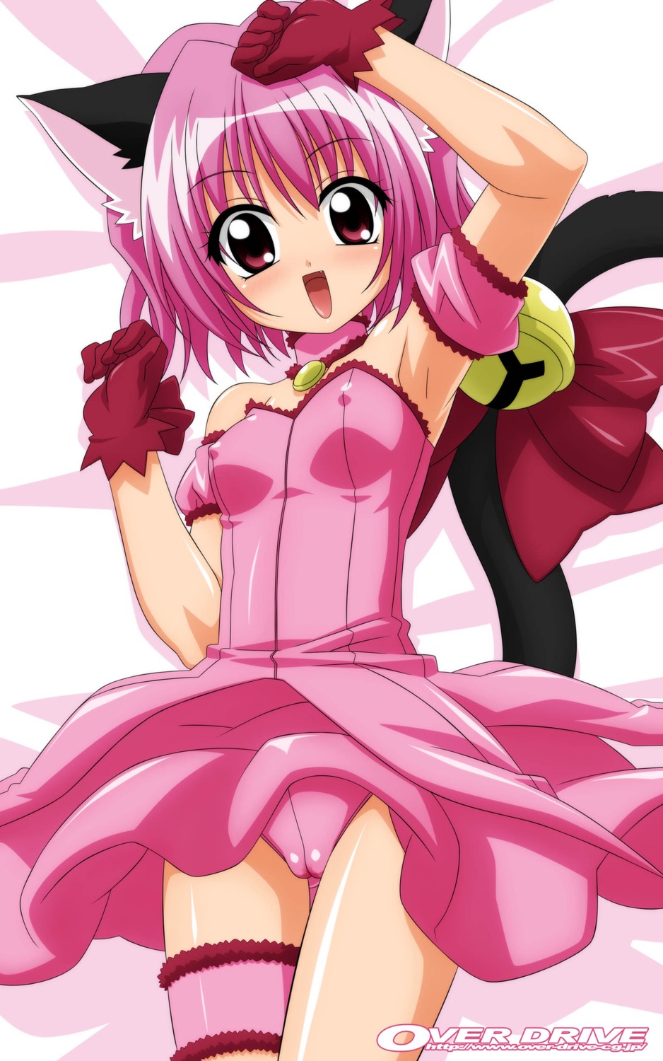 animal_ears cameltoe erect_nipples garter momomiya_ichigo nekomimi tokyo_mew_mew wave_ride