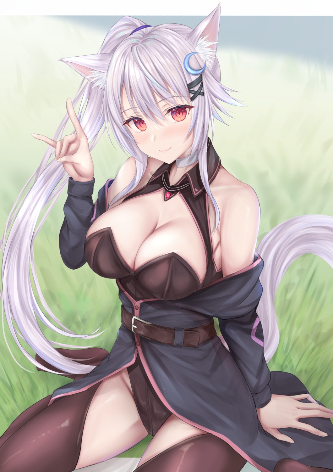 animal_ears shu-ri tail thighhighs