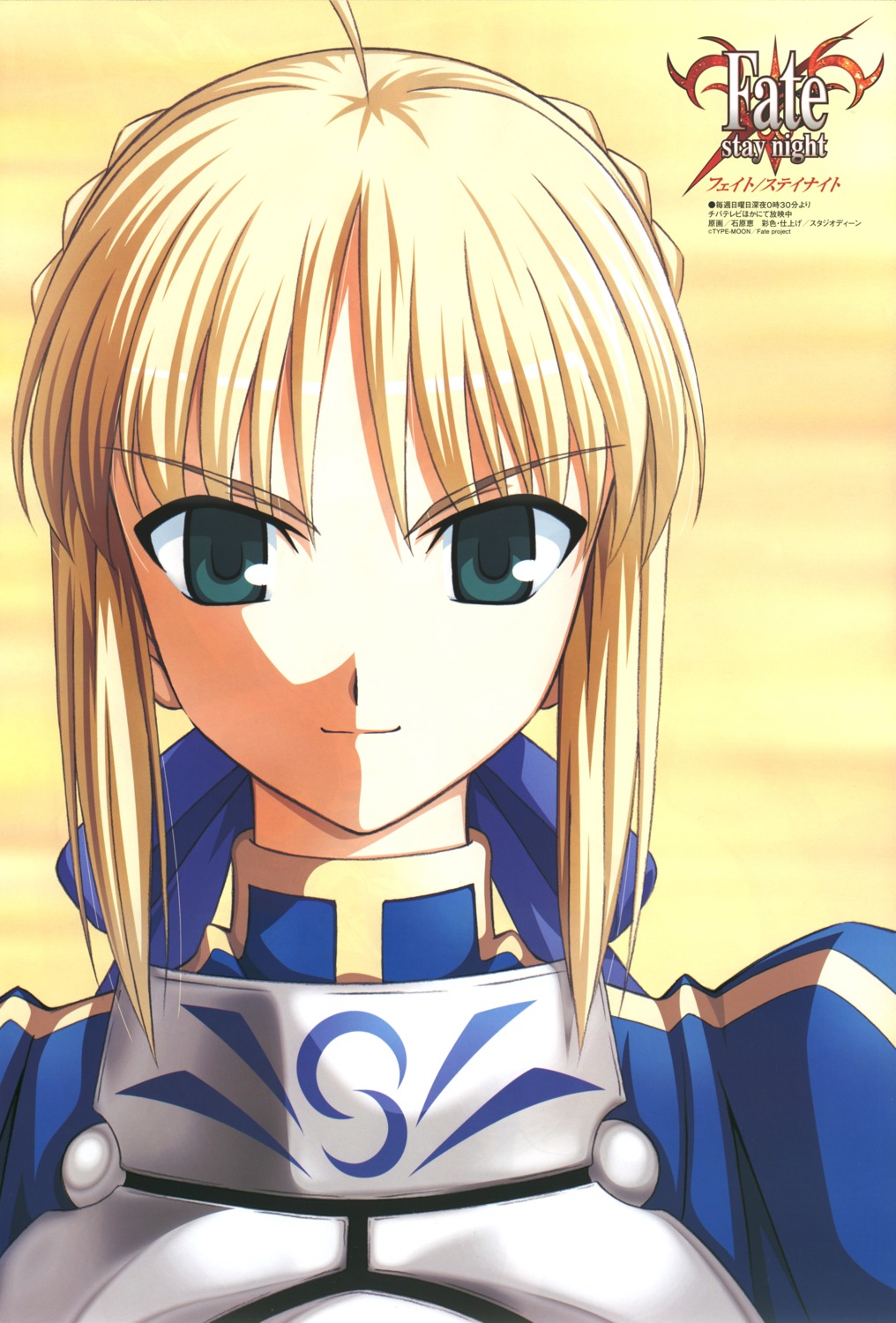 fate/stay_night ishihara_megumi saber