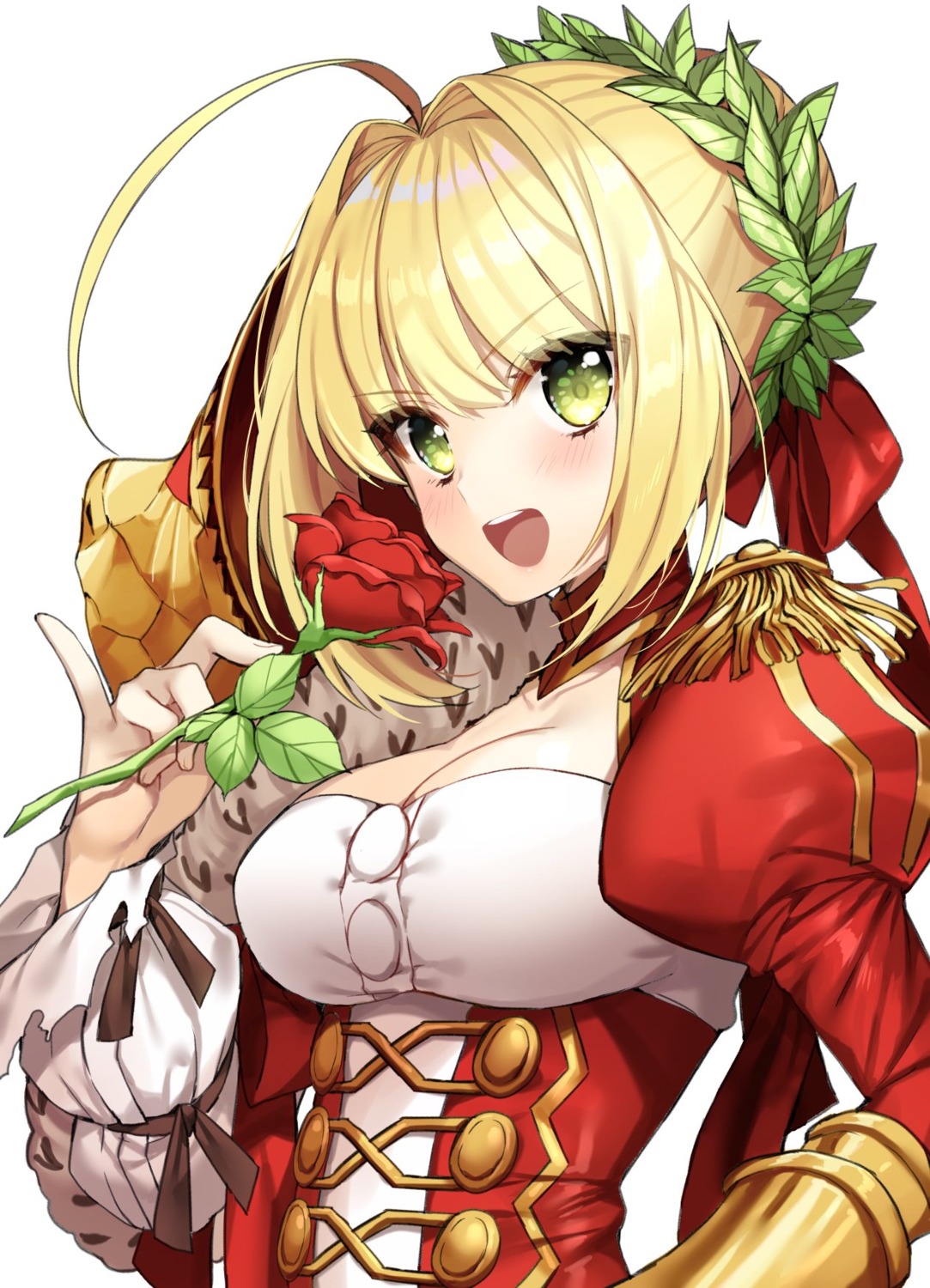 armor cleavage fate/extra fate/grand_order fate/stay_night gabe_(seelunto) saber_extra