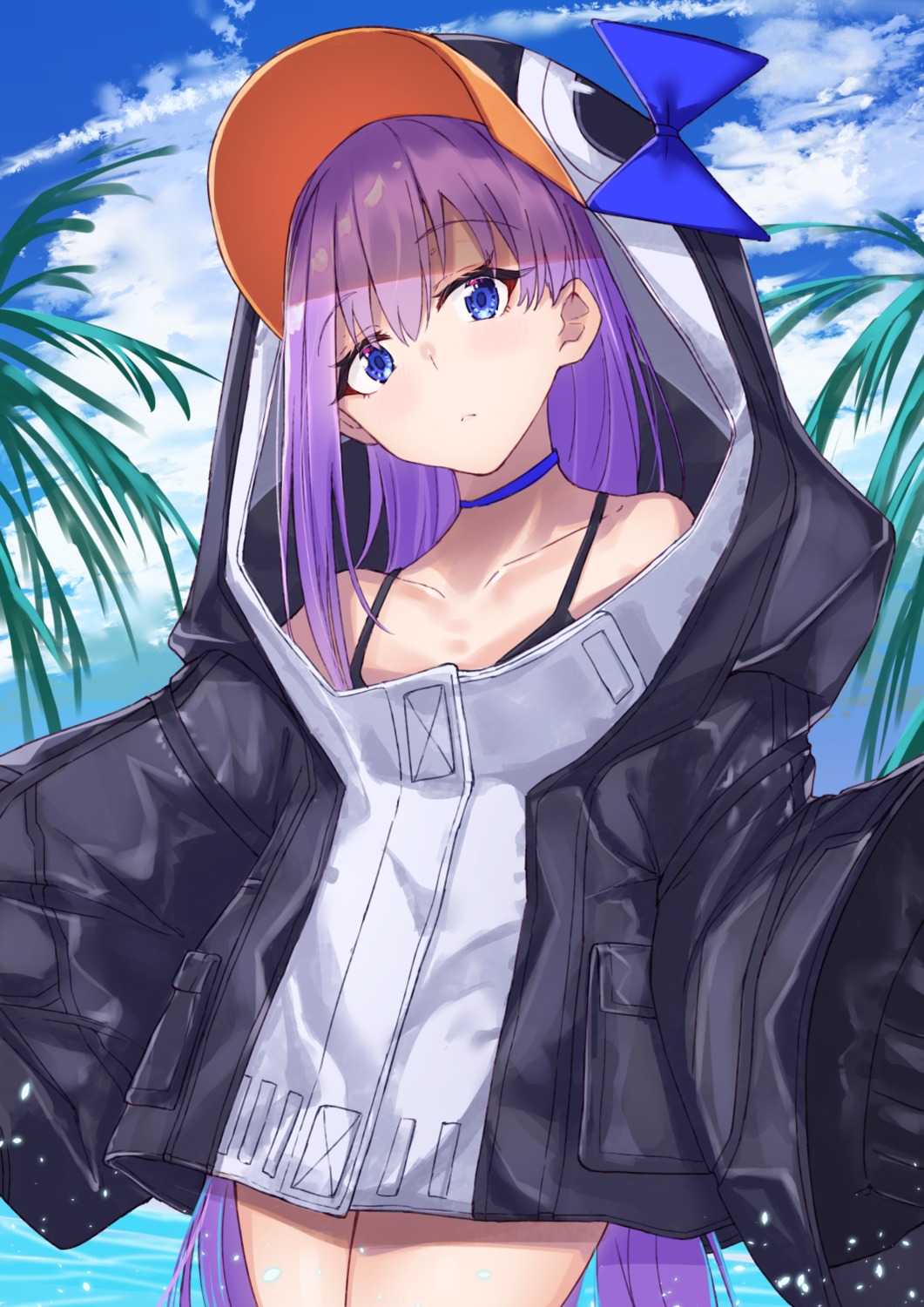 fate/grand_order meltryllis penguin tapioka_(oekakitapioka)