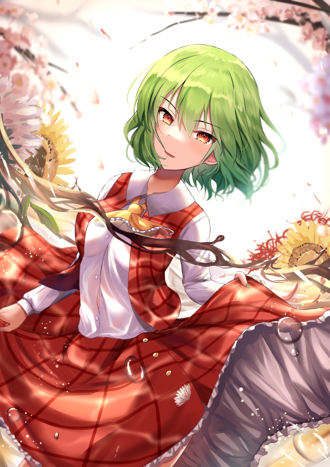 kazami_yuuka kkkk12103 skirt_lift touhou