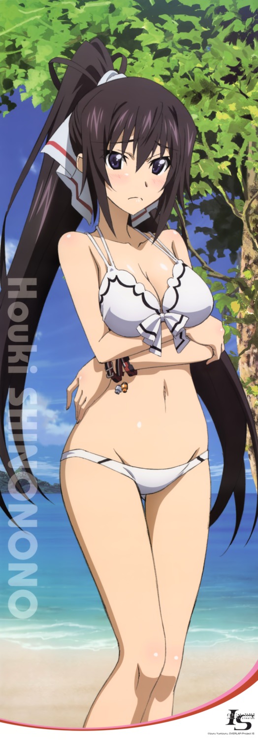 bikini breast_hold cleavage hashimoto_takayoshi infinite_stratos shinonono_houki stick_poster swimsuits