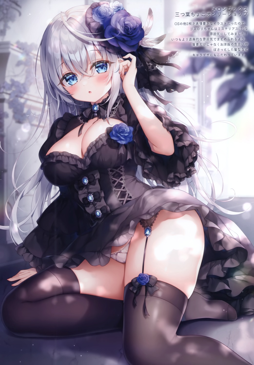 dress garter_belt gothic_lolita lolita_fashion mermerry mitsuba_choco no_bra pantsu skirt_lift stockings thighhighs