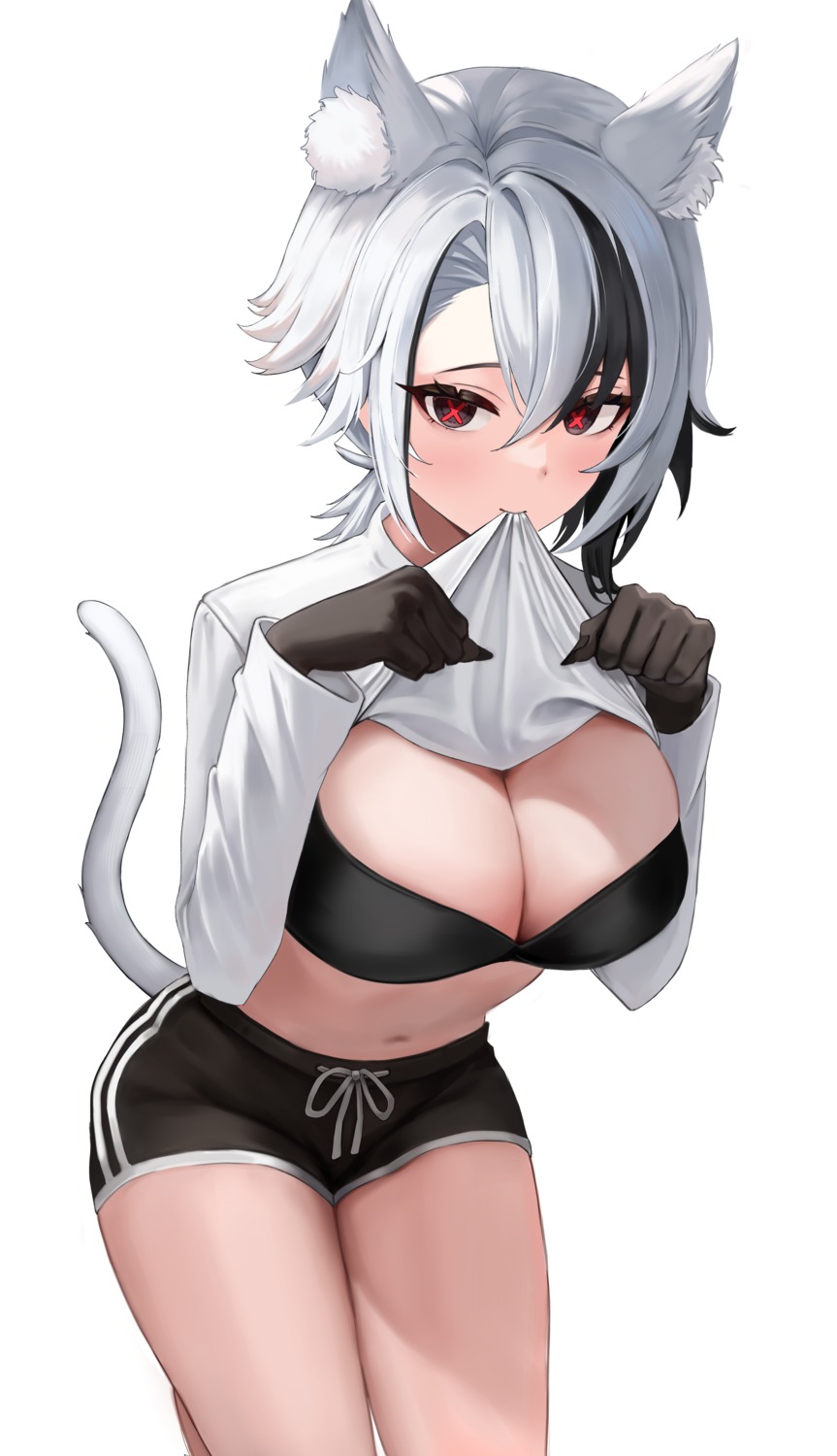 animal_ears arlecchino bra genshin_impact kamko nekomimi shirt_lift tail