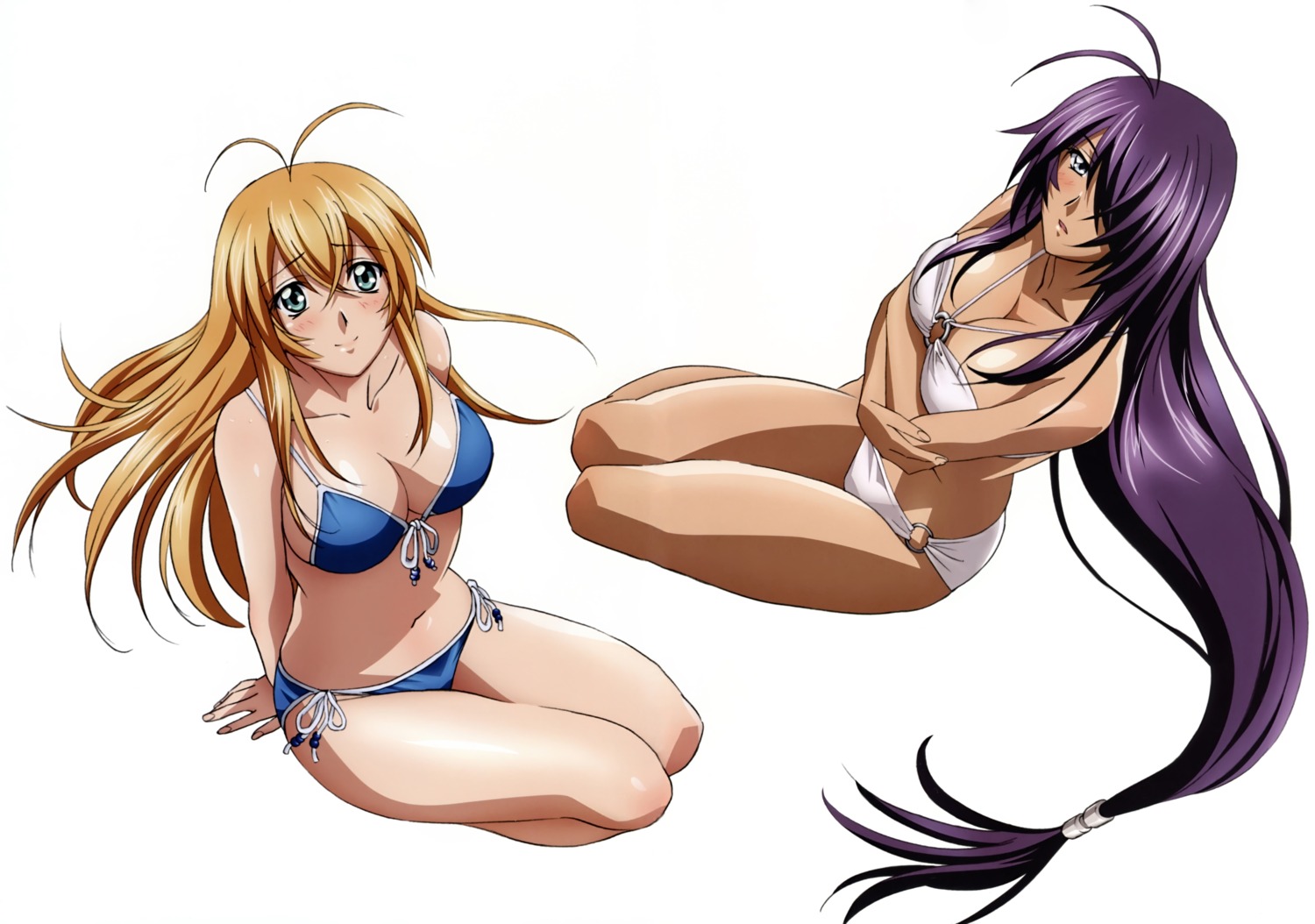 bikini cleavage gotou_junji ikkitousen kanu_unchou sonsaku_hakufu swimsuits