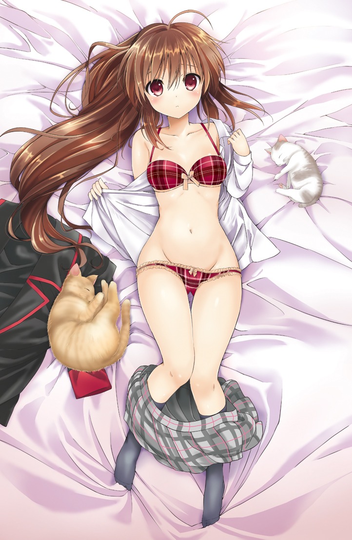 bra little_busters! natsume_rin neko open_shirt pantsu tsukako