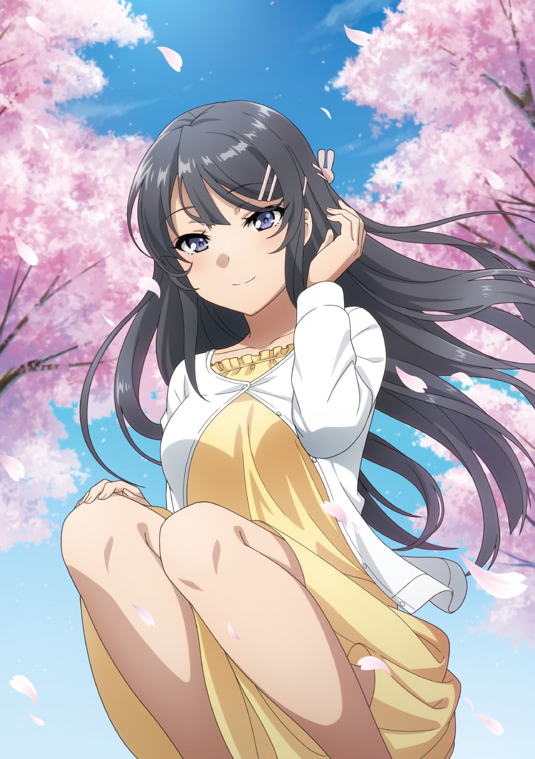 dress sakurajima_mai seishun_buta_yarou tagme