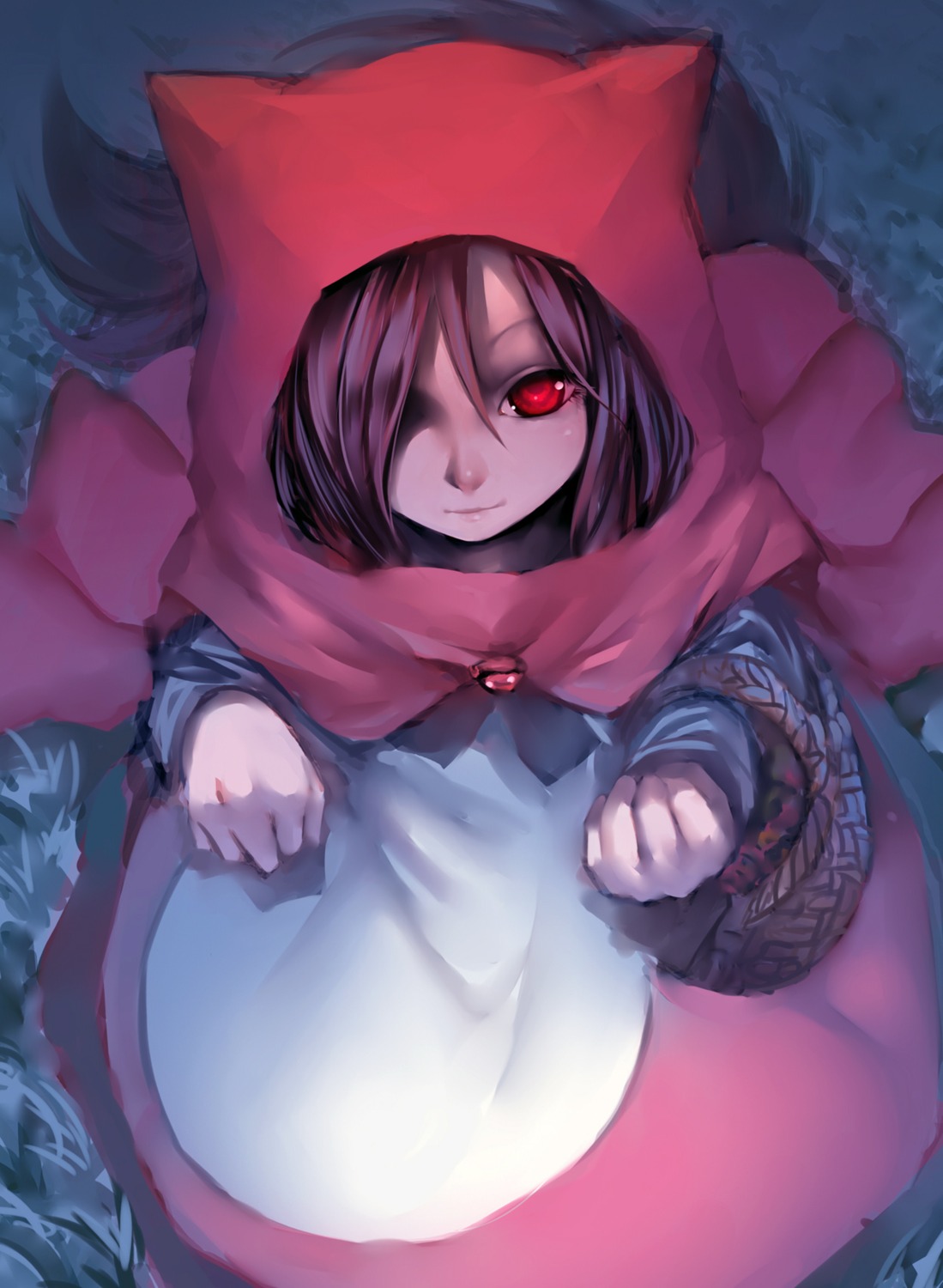 animal_ears cosplay imaizumi_kagerou jian_zi little_red_riding_hood_(character) tail touhou