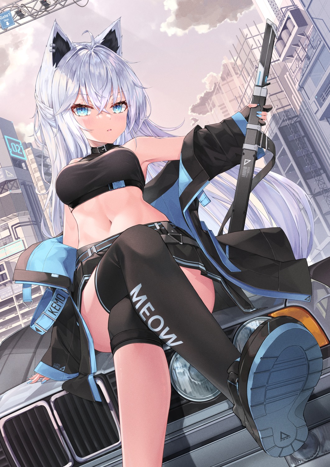 animal_ears nekomimi sword thighhighs yeosi