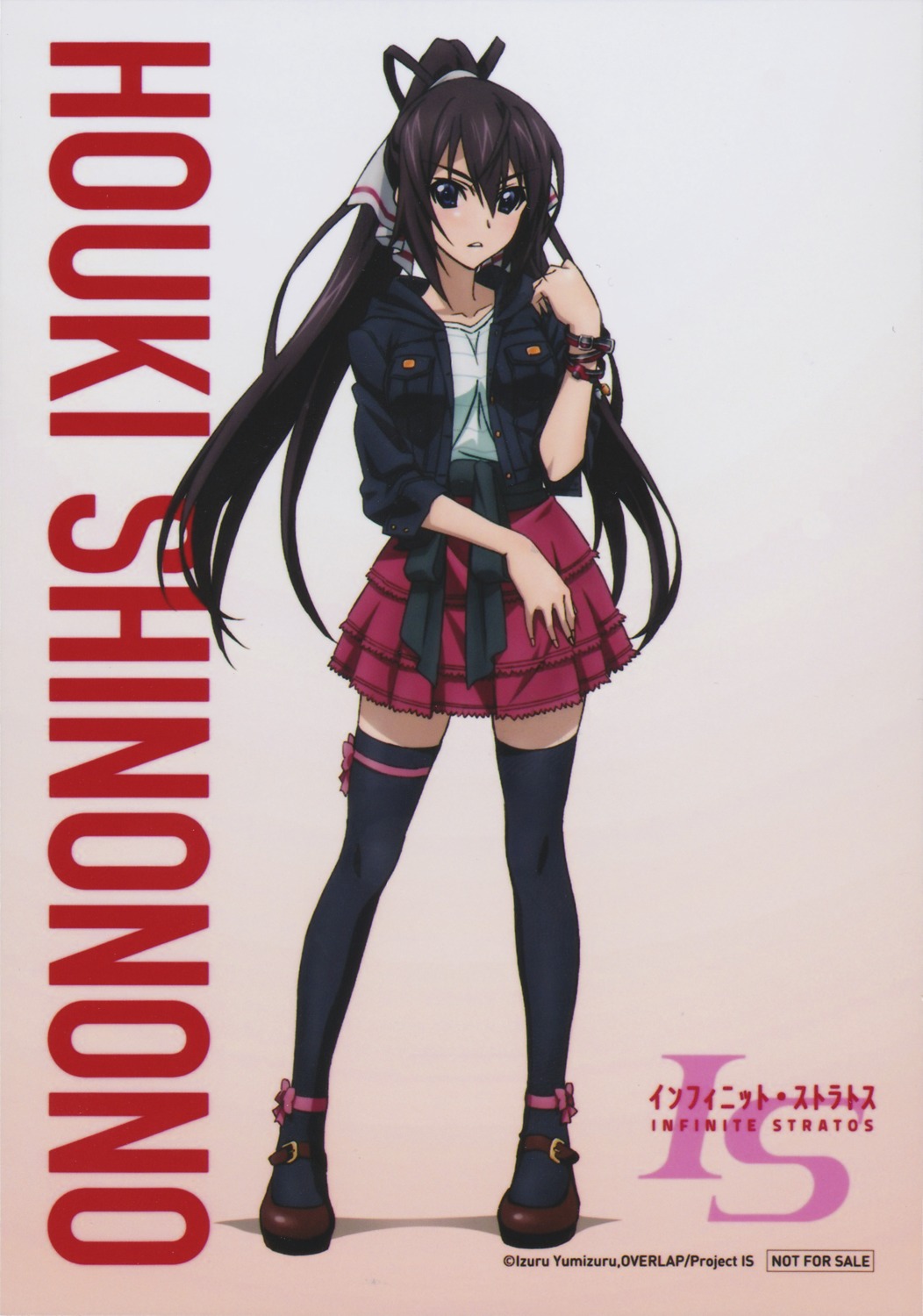 garter infinite_stratos shinonono_houki thighhighs