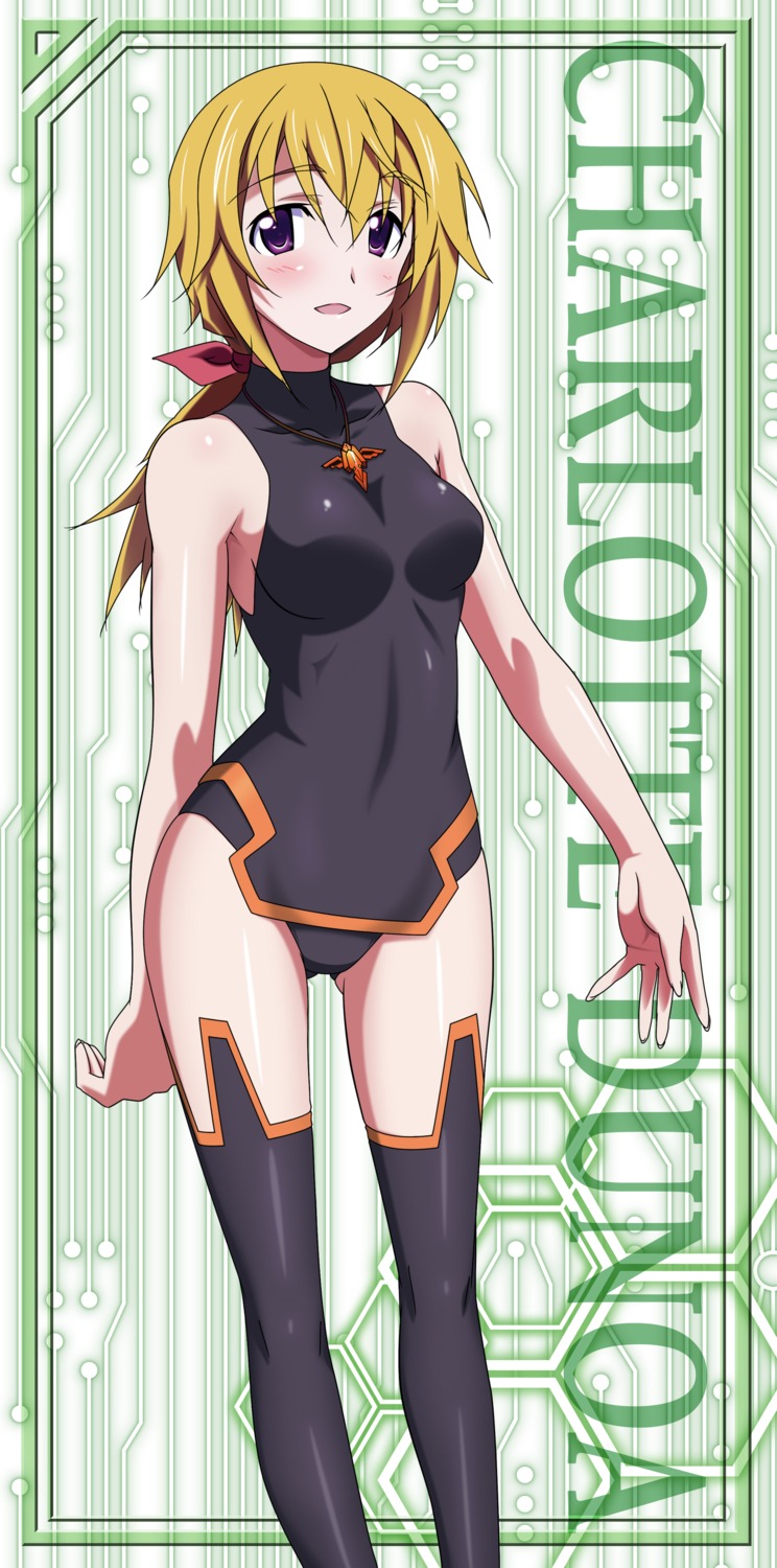 bodysuit charlotte_dunois infinite_stratos stick_poster thighhighs