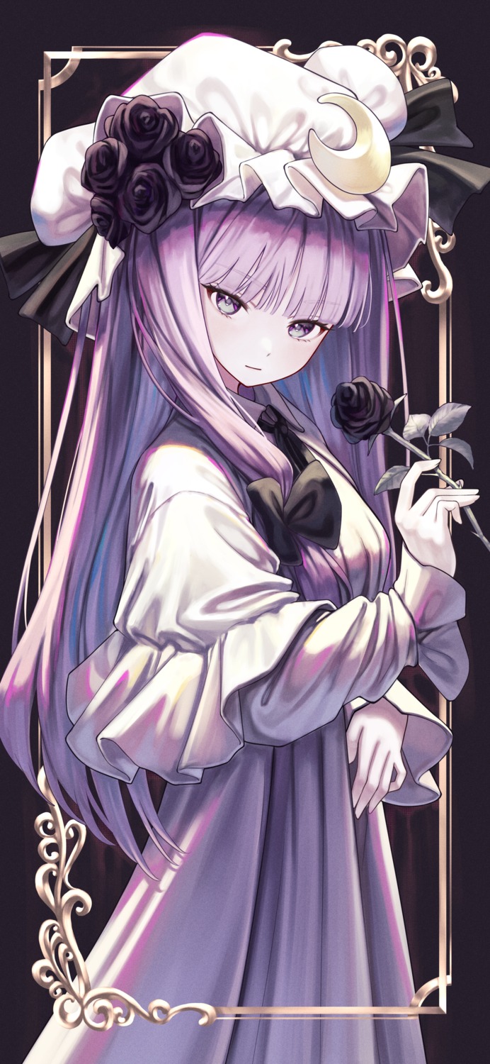 dress patchouli_knowledge torinari_(dtvisu) touhou