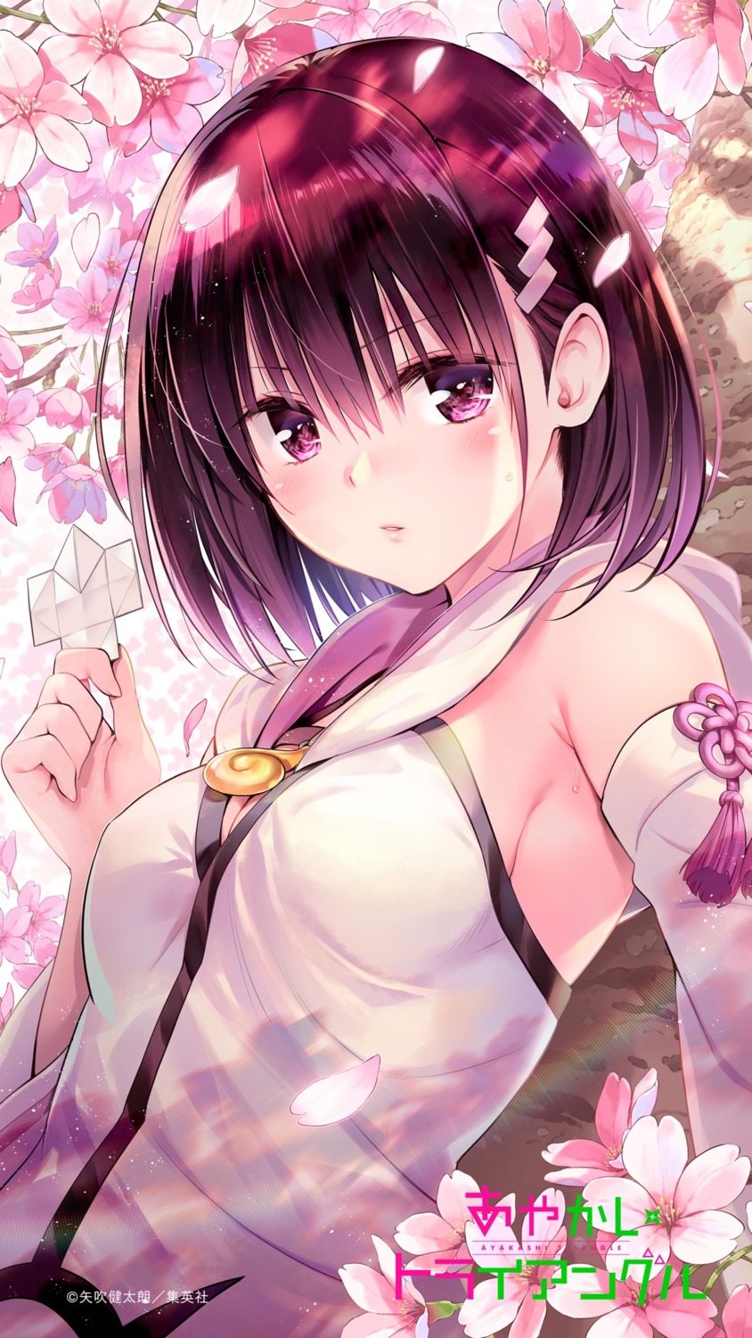 ayakashi_triangle cleavage kanade_suzu yabuki_kentarou