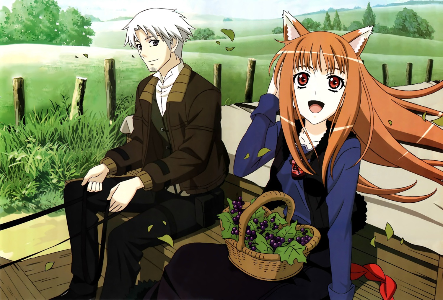 animal_ears craft_lawrence holo sasaki_masashi spice_and_wolf tail