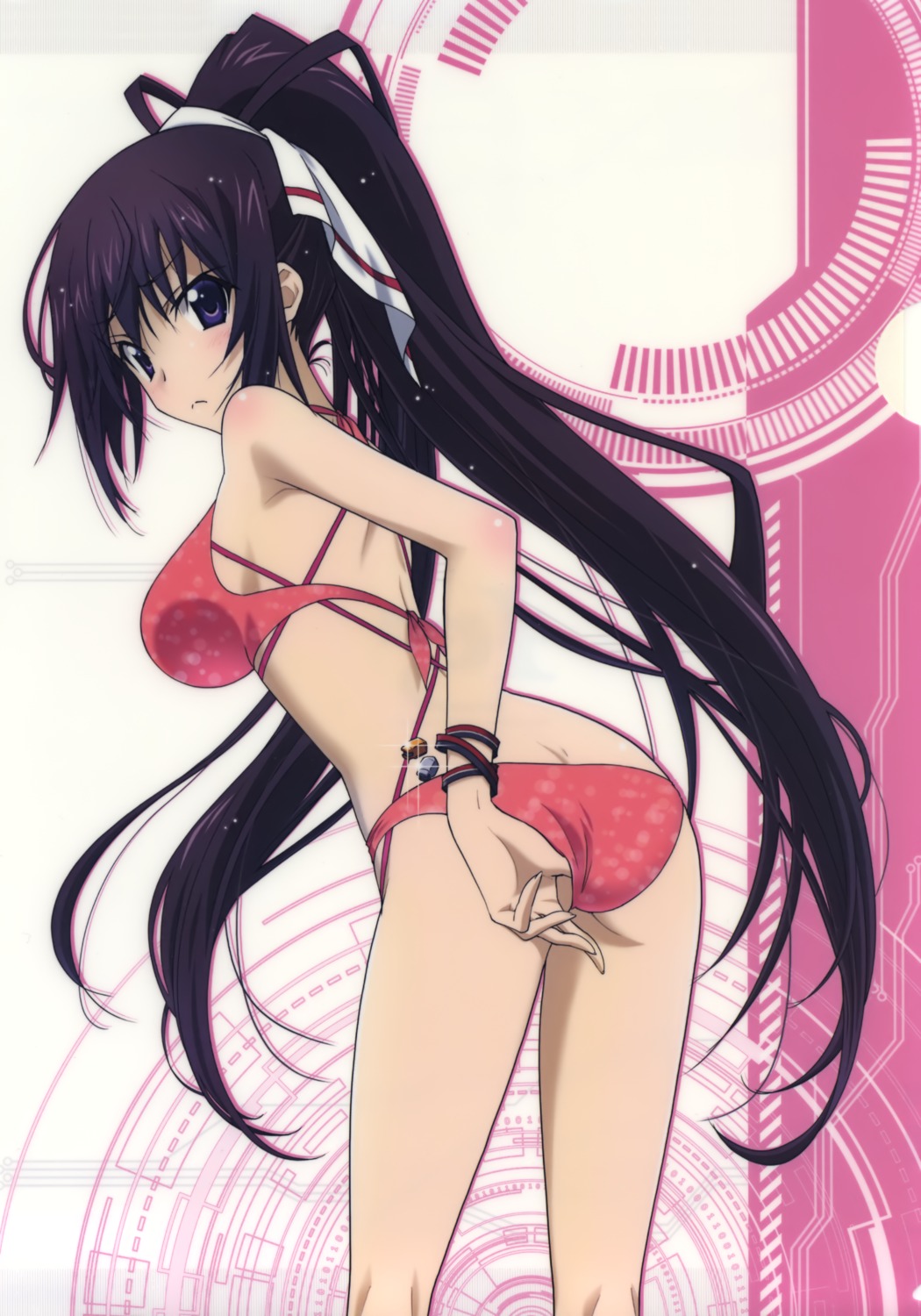 ass bikini infinite_stratos shinonono_houki swimsuits tagme