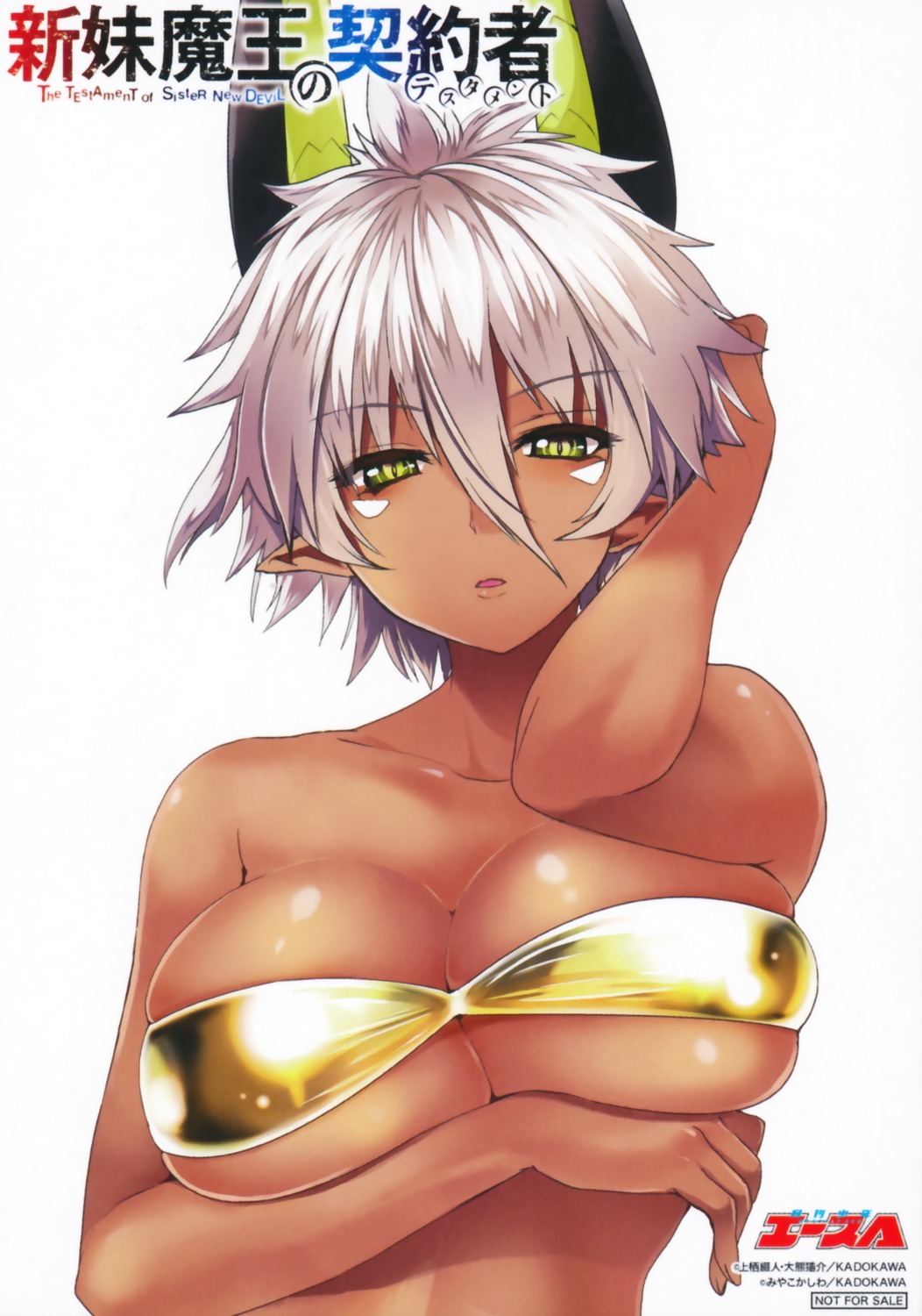 bikini_top breast_hold cleavage horns pierre_yoshio pointy_ears shinmai_maou_no_testament swimsuits underboob zest