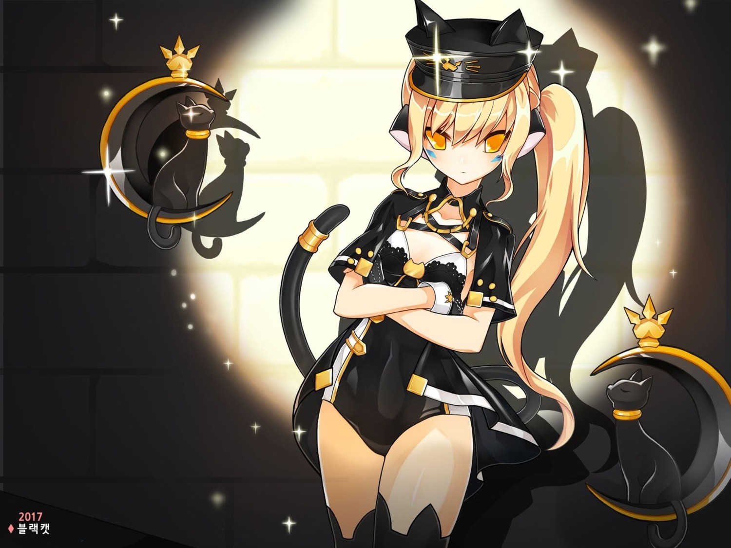 elsword eve_(elsword) leotard neko tagme tail thighhighs