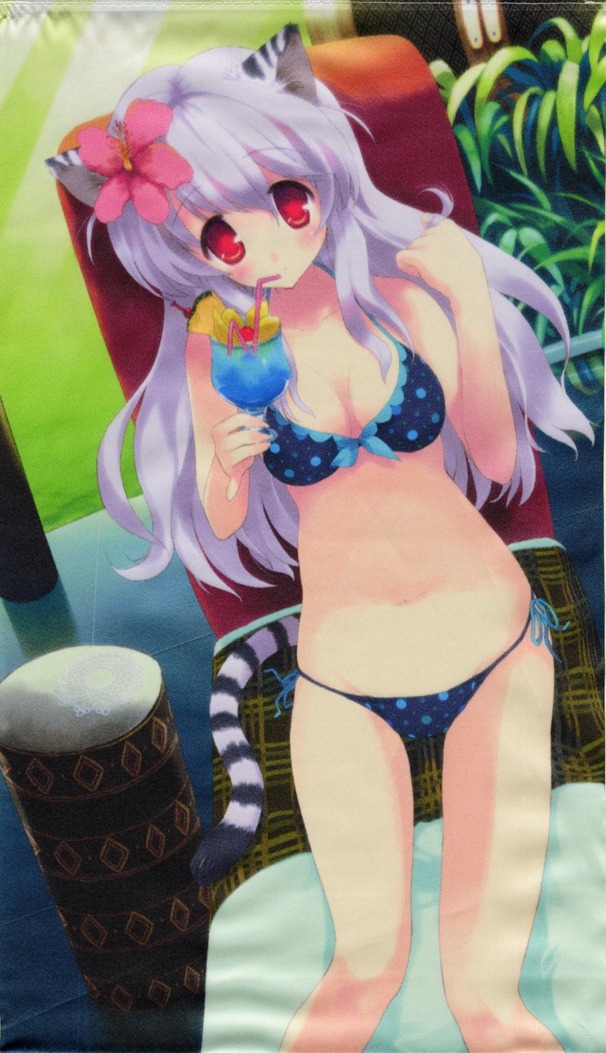 animal_ears bikini cleavage nekomimi sacchi swimsuits