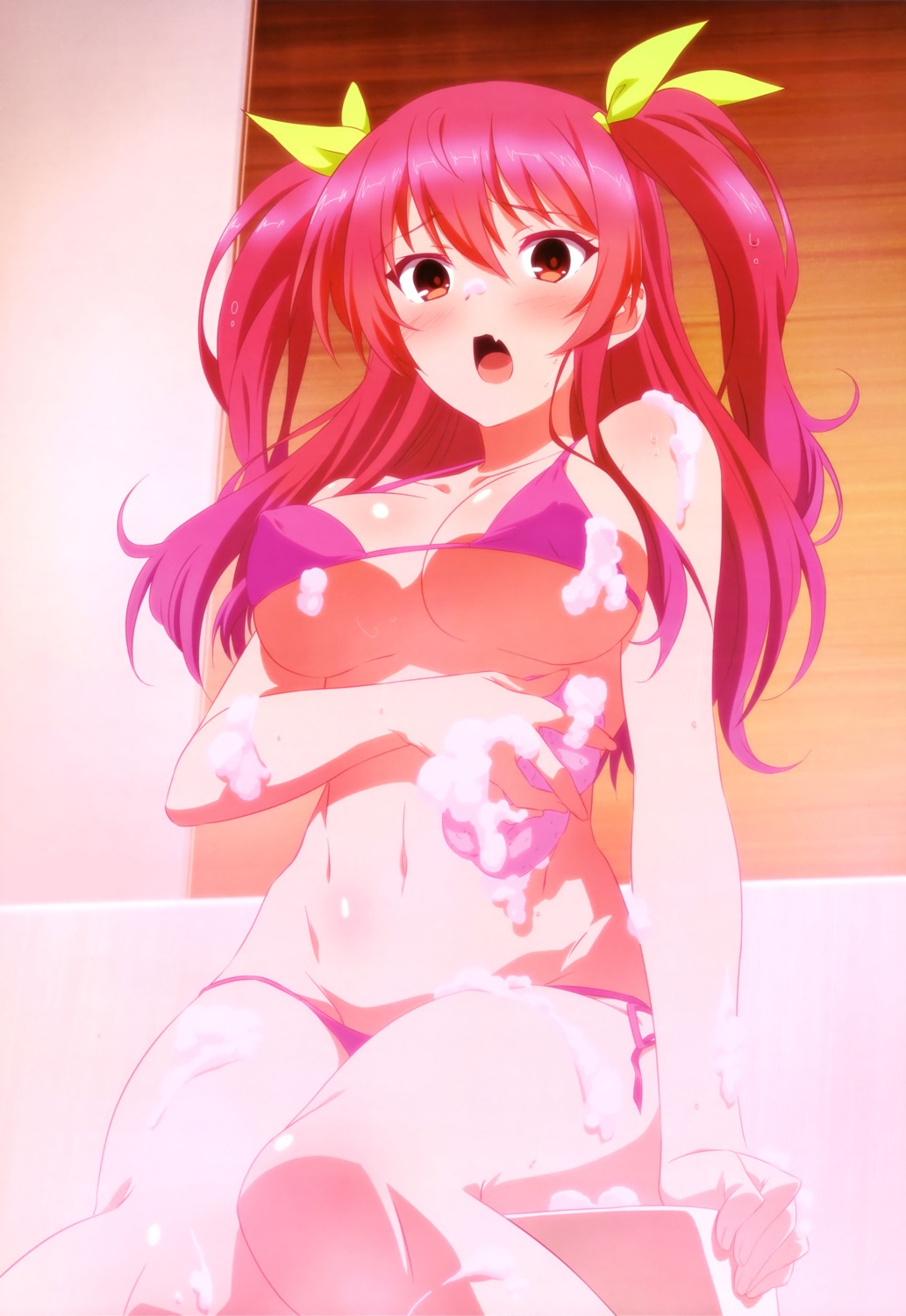 rakudai kishi no cavalry stella vermillion bathing bikini cleavage erect  nipples swimsuits underboob | #335432 | yande.re