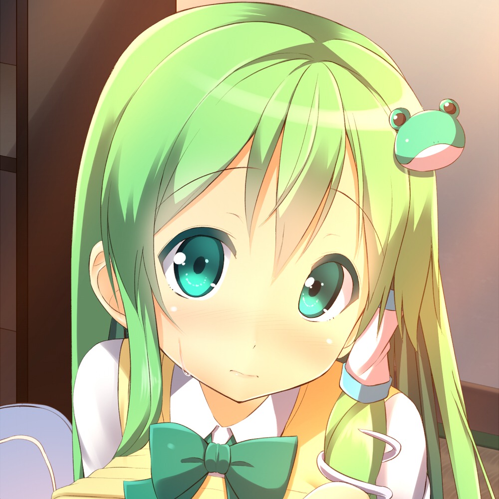 kochiya_sanae tokyo_yamane touhou