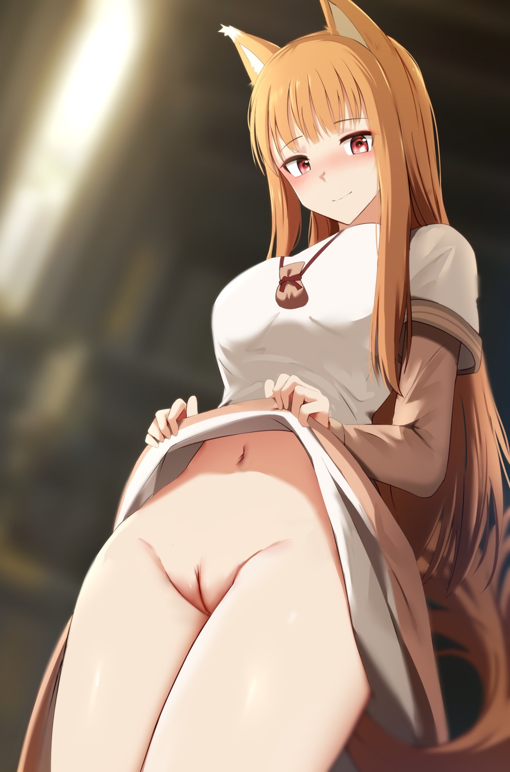 animal_ears dress ginhaha holo nopan pussy skirt_lift spice_and_wolf tail uncensored