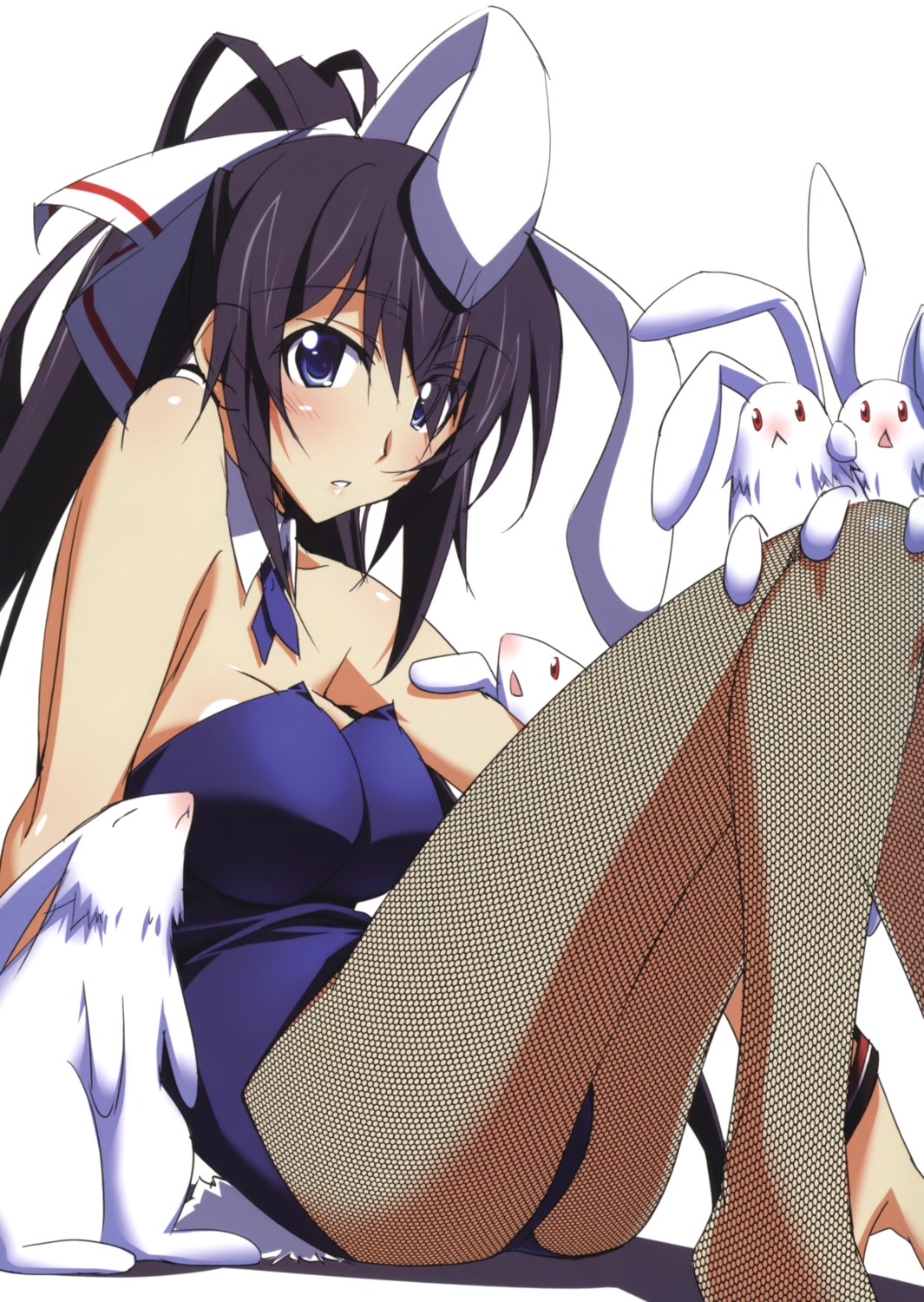 animal_ears bunny_ears bunny_girl fishnets infinite_stratos kurashima_tomoyasu shinonono_houki