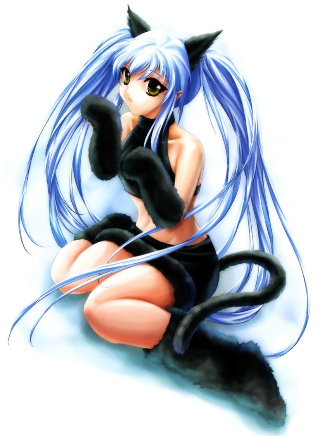 animal_ears hoshino_ruri kisaragi martian_successor_nadesico necomanma nekomimi tail