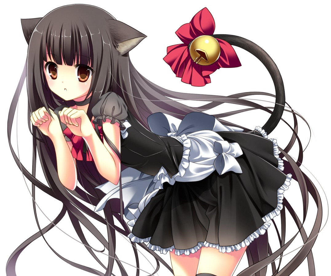 animal_ears nekomimi tail thighhighs totsuka