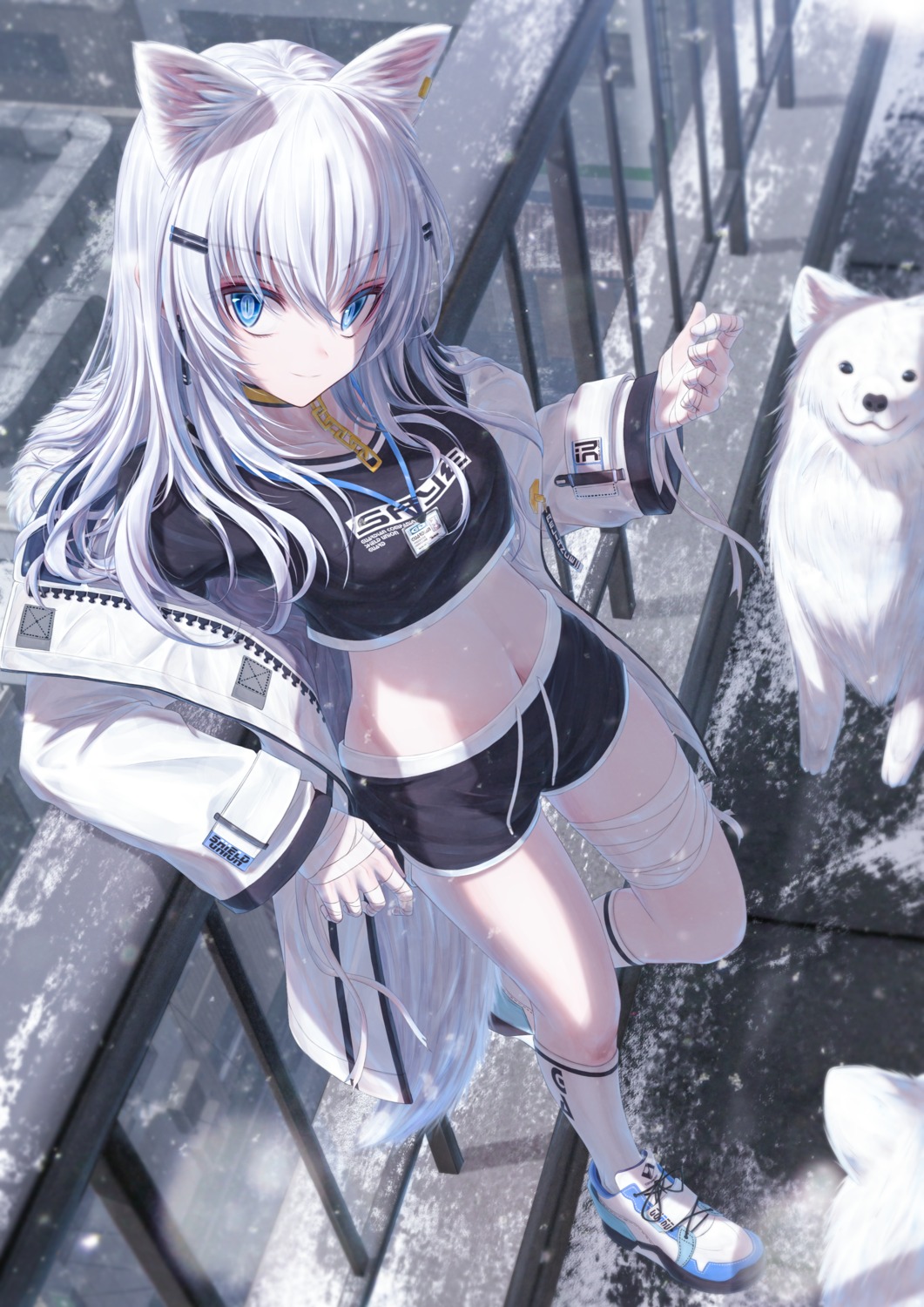 animal_ears bae.c bandages garter gym_uniform inumimi nekomimi tail