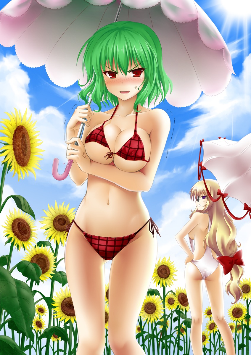 bikini cleavage kazami_yuuka okitakung swimsuits touhou underboob yakumo_yukari