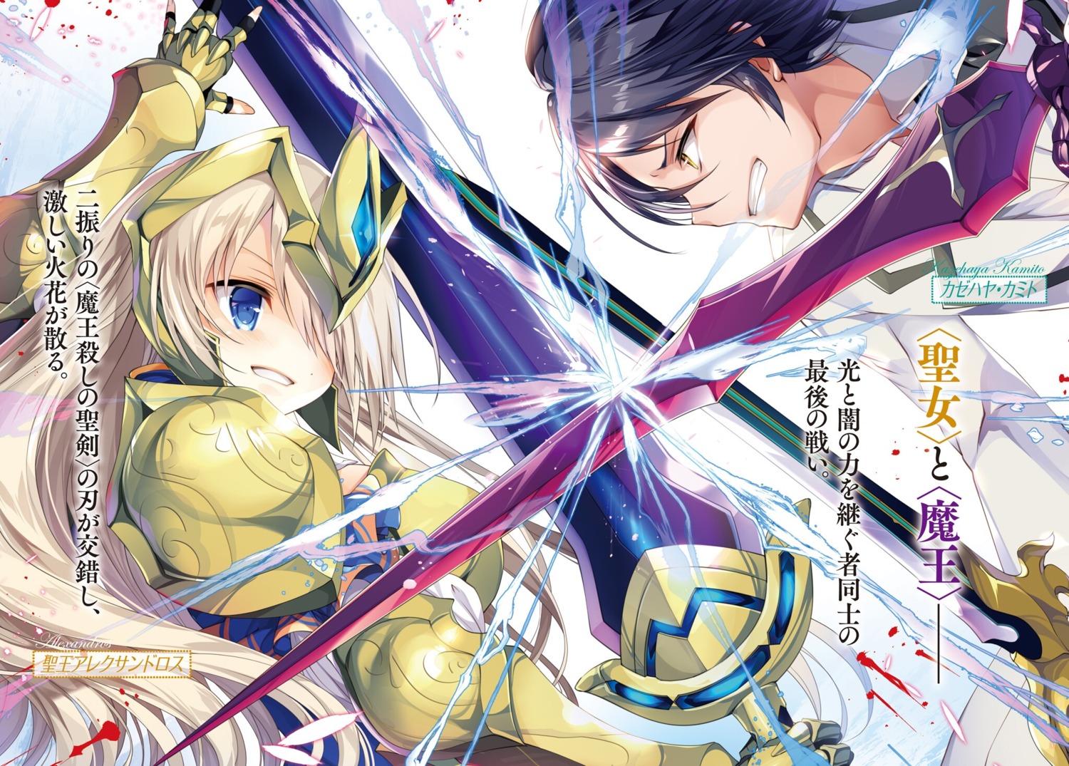 armor seirei_tsukai_no_blade_dance shimesaba_kohada sword