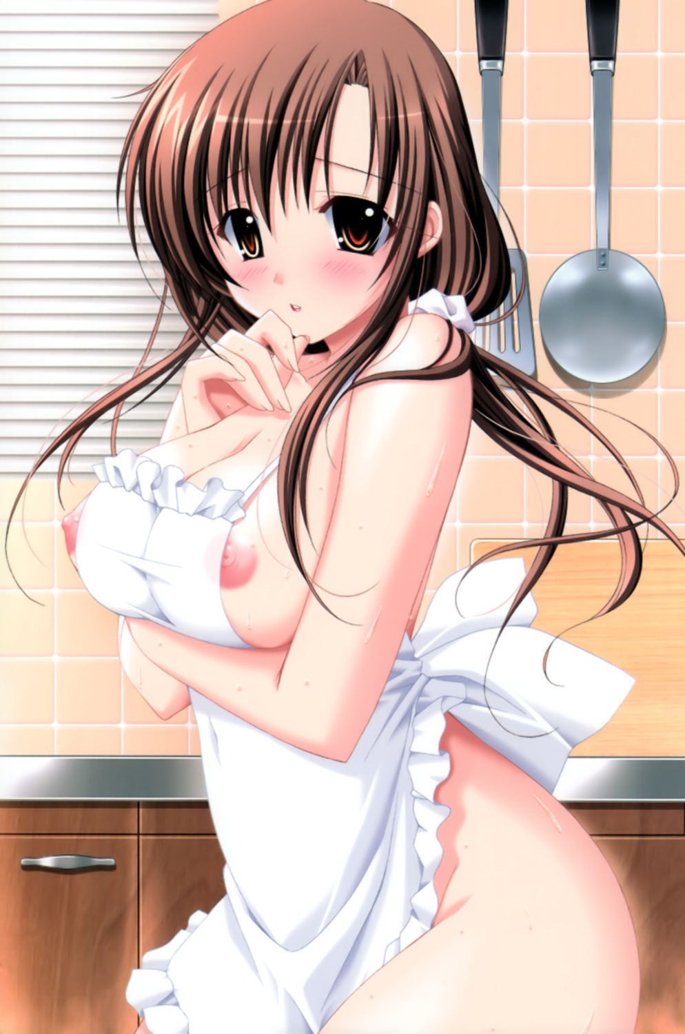 breast_hold breasts choco_chip naked_apron nipples