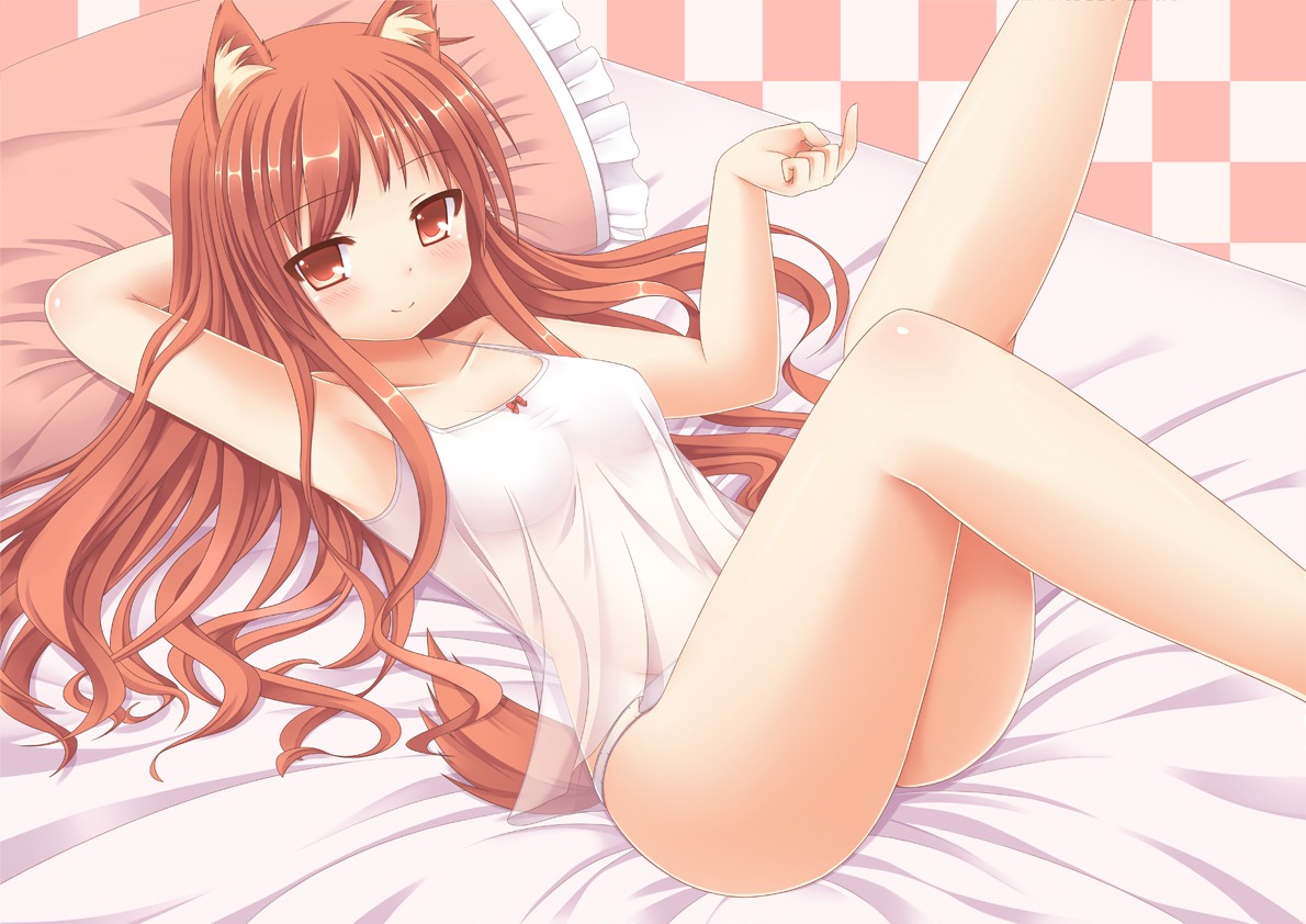 animal_ears lingerie nekomimi pantsu see_through tail yurex