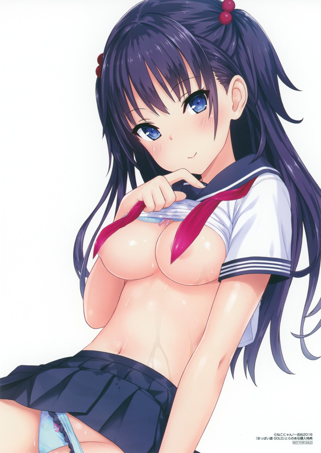 areola bra breasts nekonyan pantsu panty_pull seifuku shirt_lift