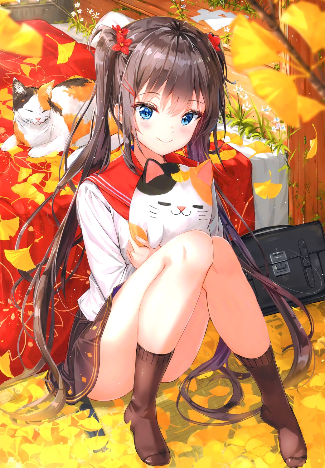 kankitsu_shoujo na_kyo neko seifuku skirt_lift