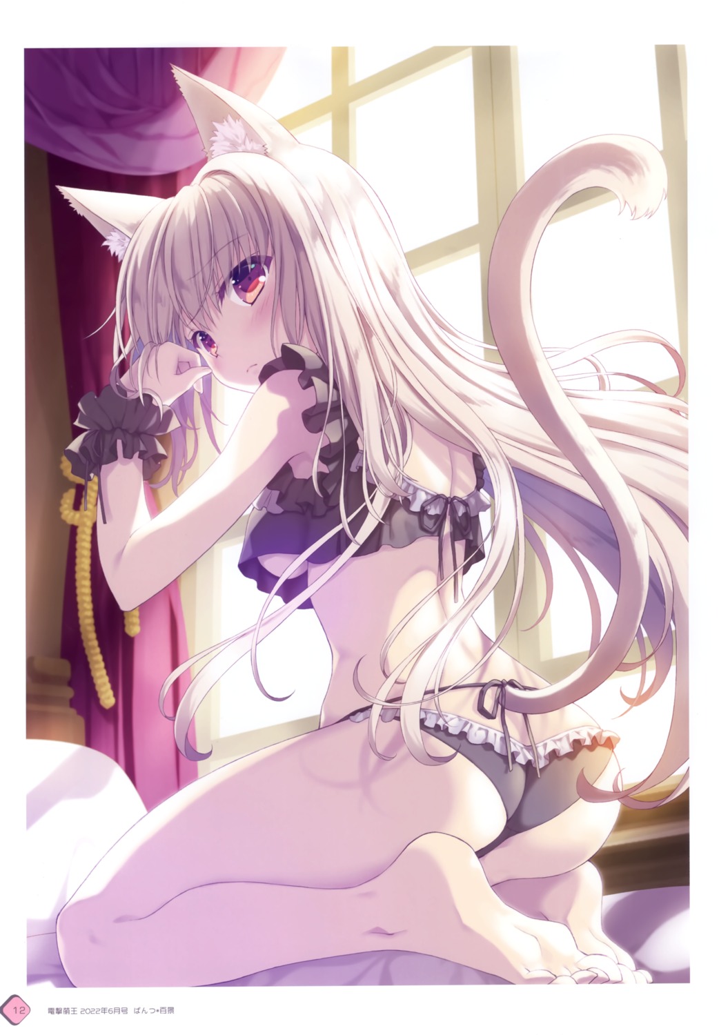 animal_ears ass bra ice_&_choco lingerie nanao_naru nekomimi pantsu tail