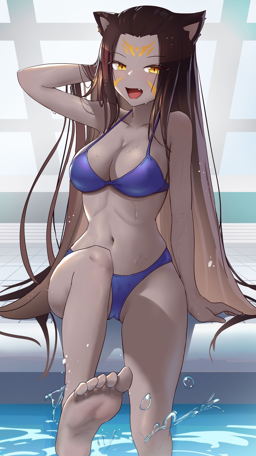 animal_ears bikini buyong22 dragon_quest feet nekomimi swimsuits wet