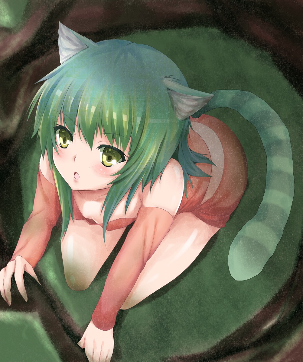 animal_ears nekomimi tail yappen