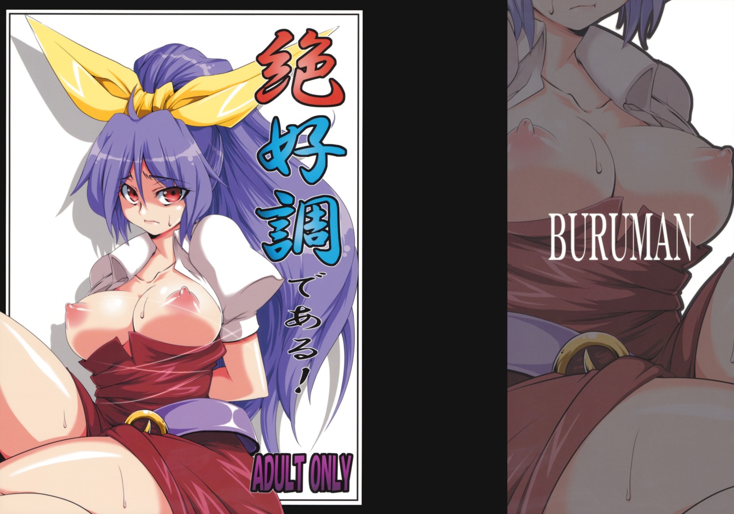 breasts buruman nipples open_shirt tajima_yuuki touhou