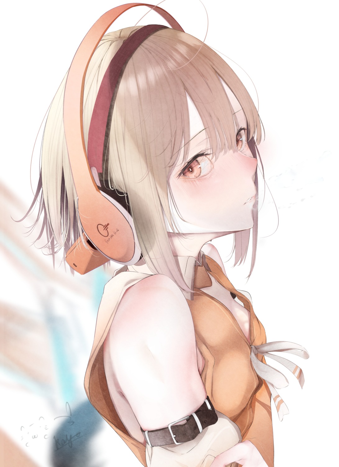 headphones