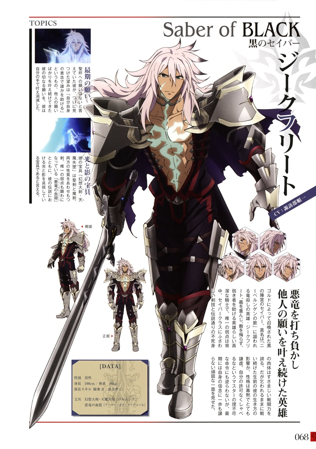armor character_design expression fate/apocrypha fate/stay_night male profile_page siegfried_(fate) sword
