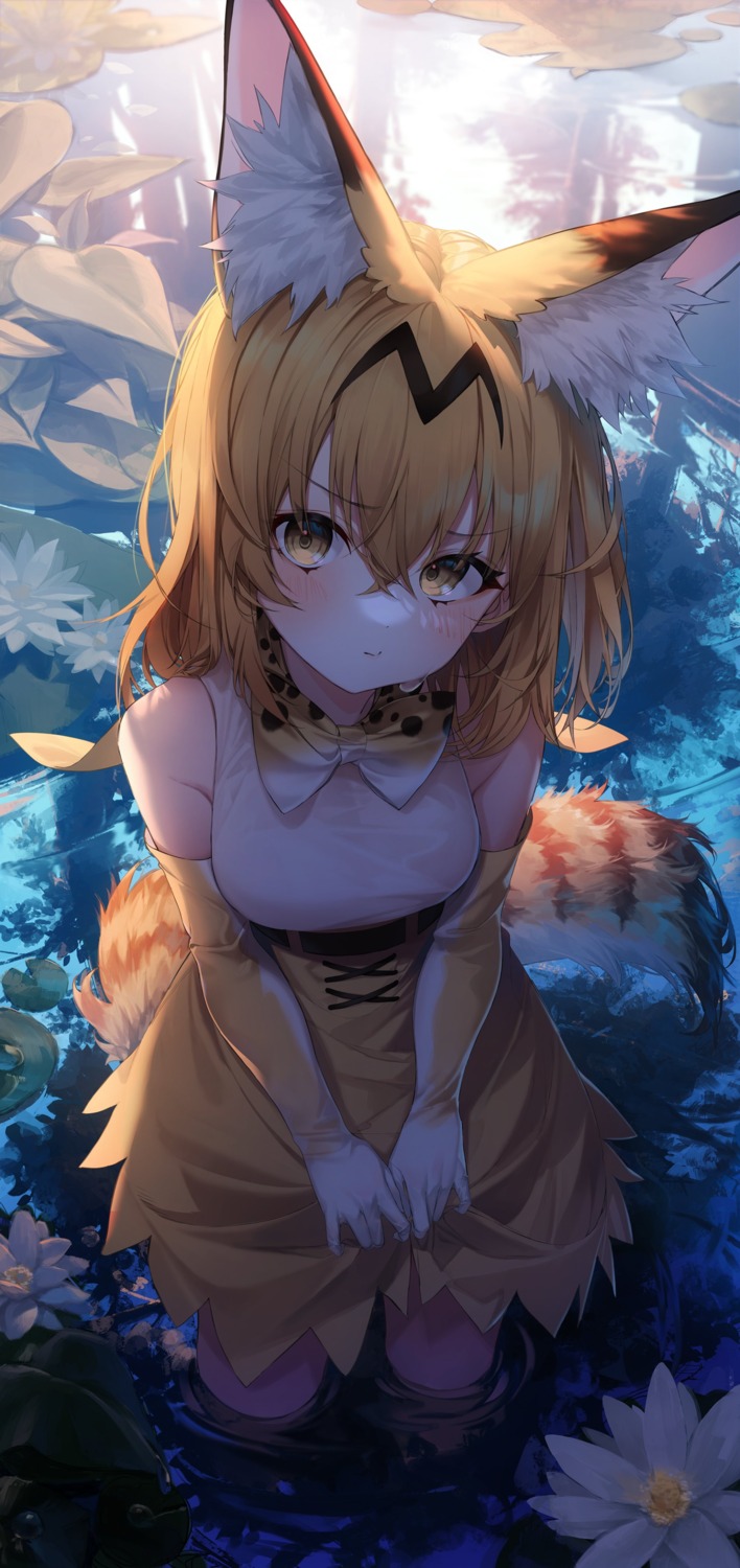 animal_ears kemono_friends lo-ta serval skirt_lift tail wet