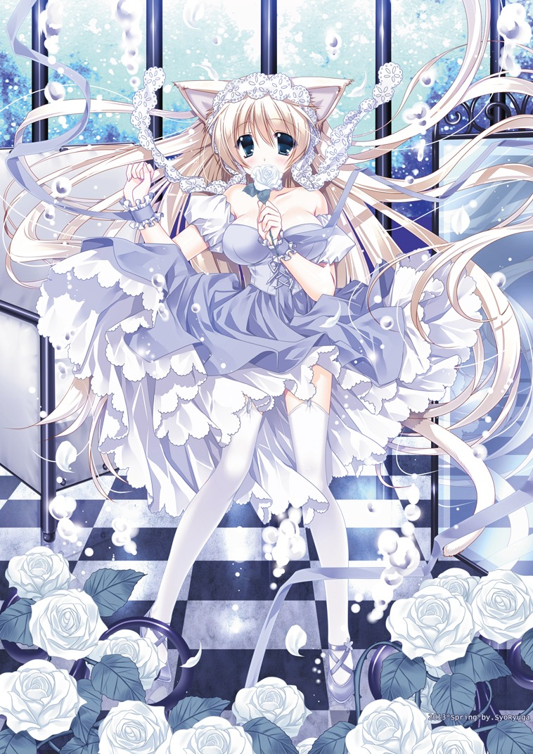 animal_ears dress nekomimi ryuuga_shou stockings tail thighhighs