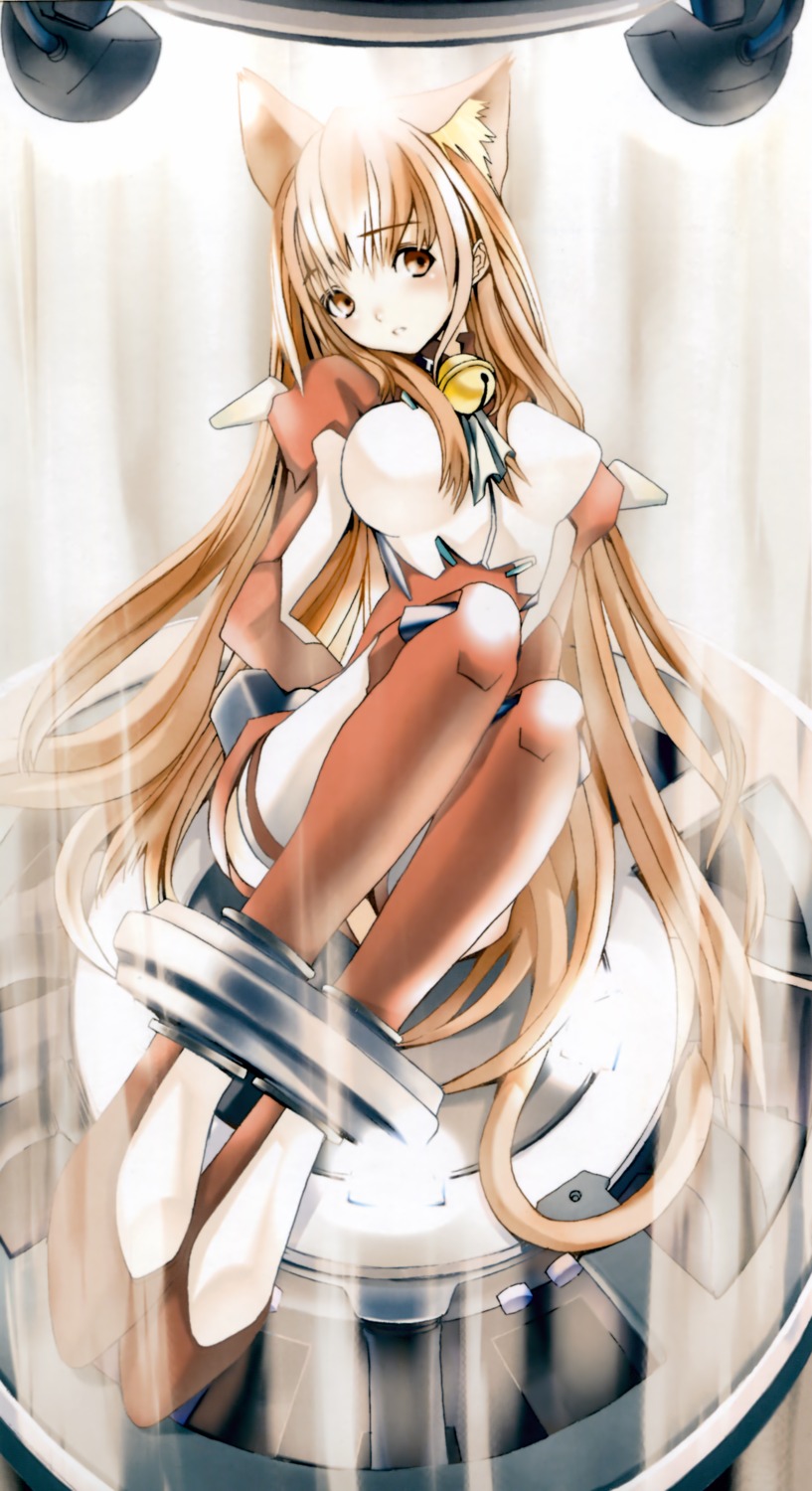 animal_ears asobi_ni_iku_yo! bodysuit bondage eris houden_eizou nekomimi tail thighhighs