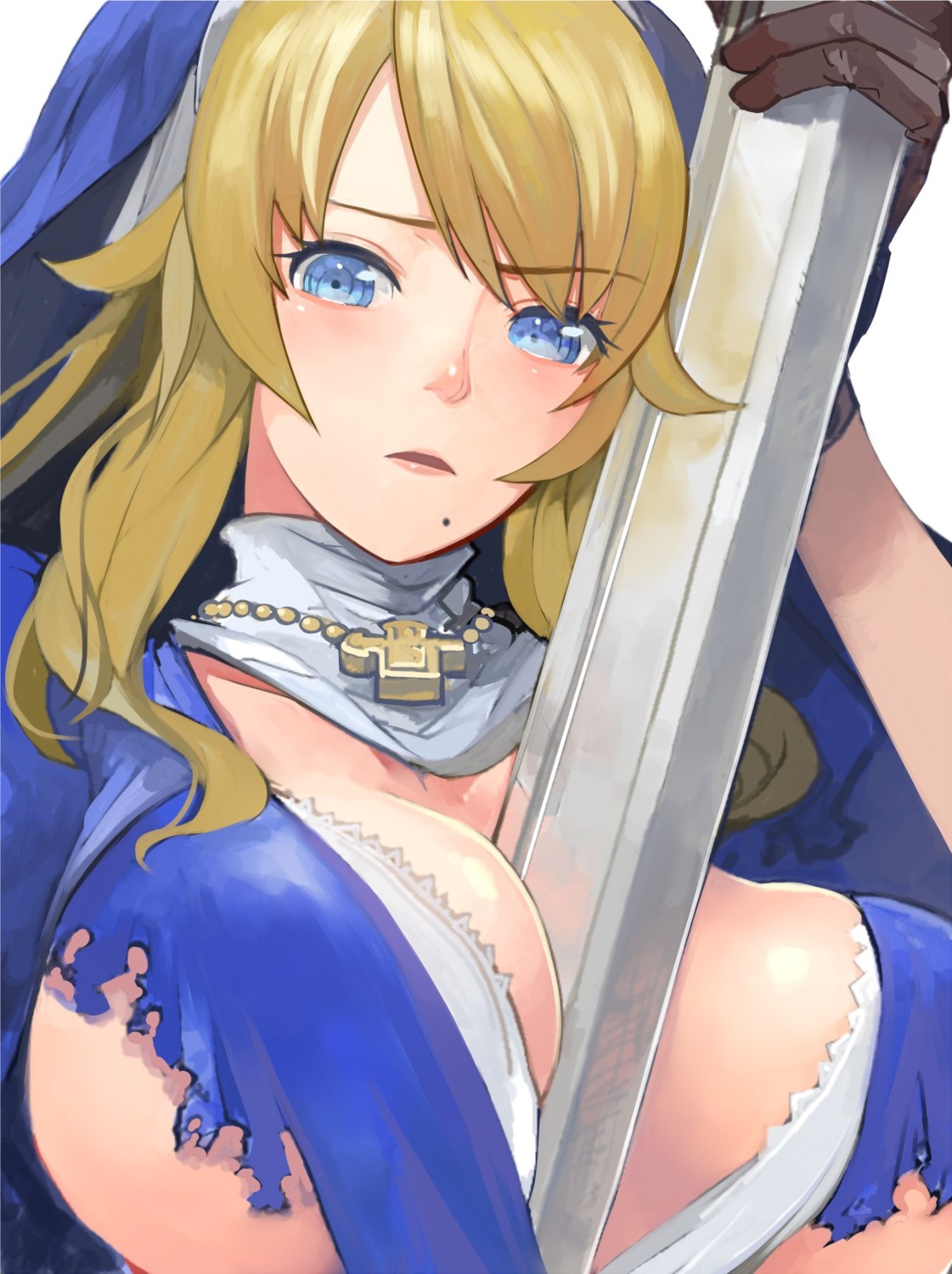 no_bra nun pupps queen's_blade sword torn_clothes