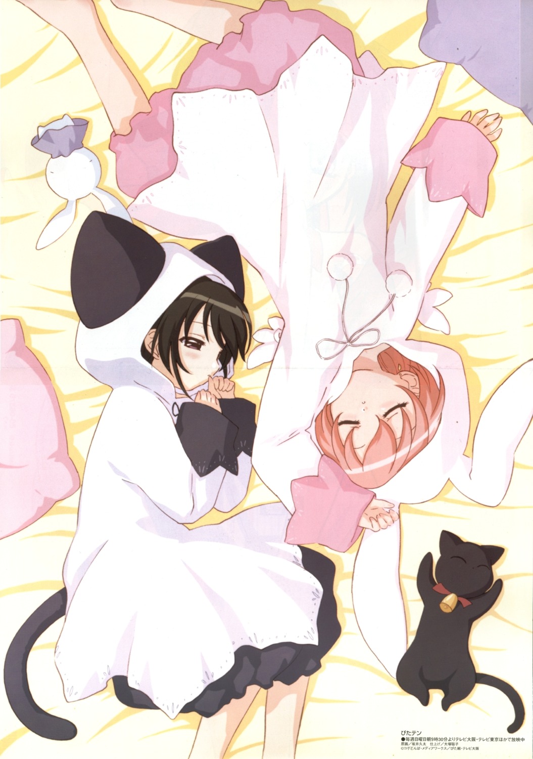 animal_ears bleed_through crease misha neko nekomimi nya pita_ten sakai_kyuuta shia tail