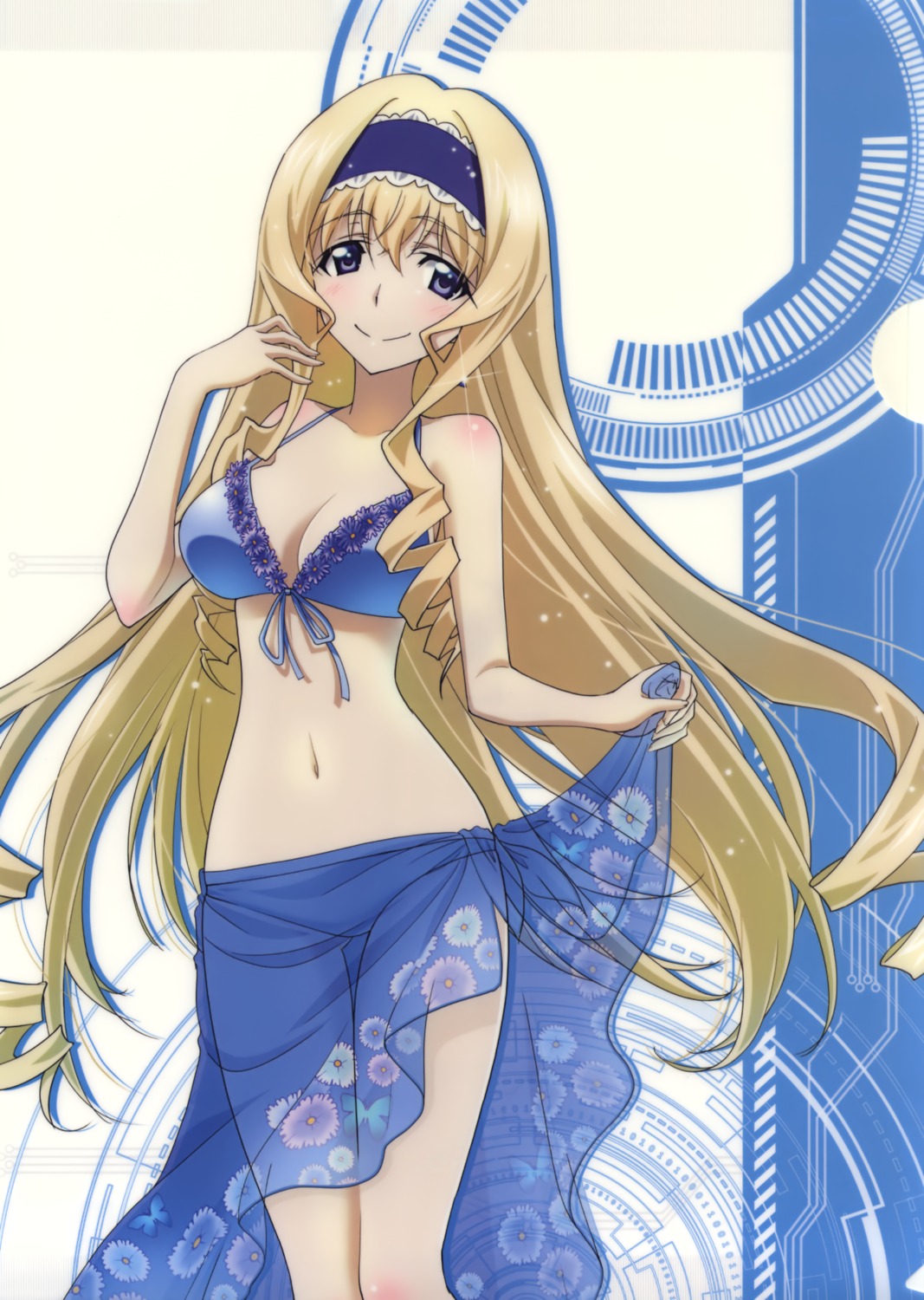 bikini cecilia_alcott cleavage infinite_stratos see_through skirt_lift swimsuits tagme