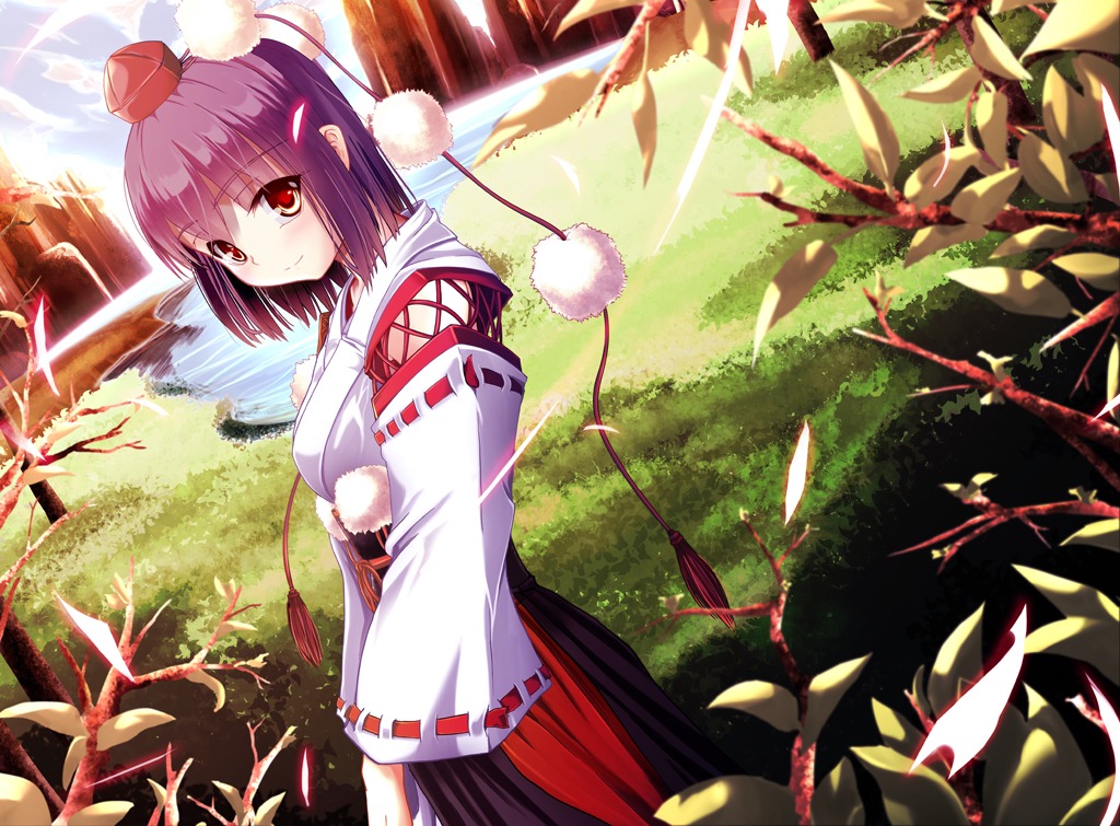 miko shameimaru_aya touhou windfeathers