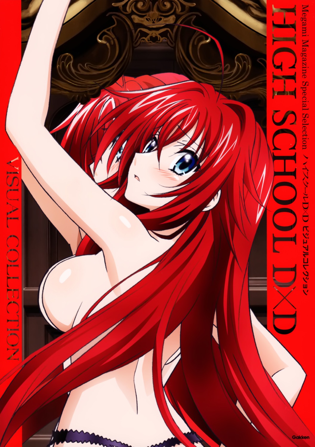 highschool_dxd pantsu rias_gremory tagme topless